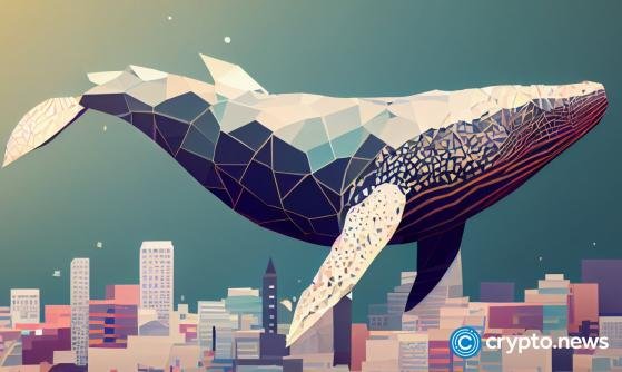 Whales stirring up waves with mega-transactions in BTC, ETH, SHIB, SOL